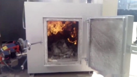 Horno incinerador de residuos sólidos médicos infecciosos de alta temperatura Wfs500